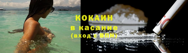 гашик Жердевка