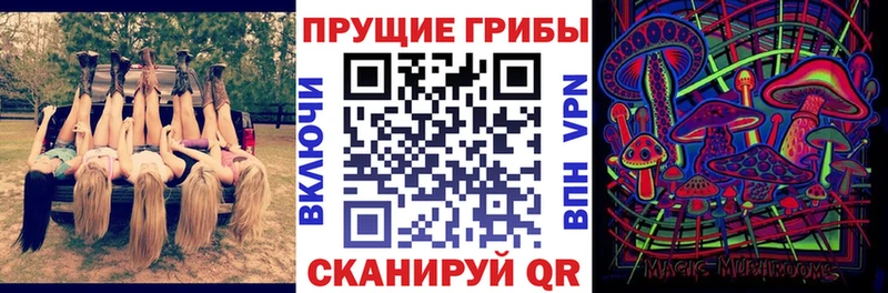 Галлюциногенные грибы Psilocybine cubensis  где купить   Алдан 